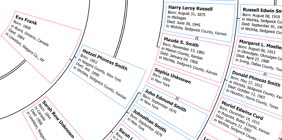 descendant fan chart example